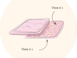 Lingettes nettoyantes ou démaquillantes - lot de 12